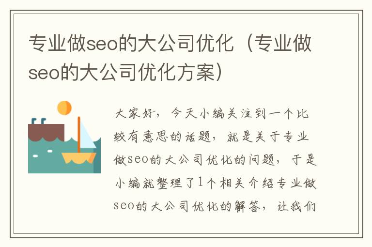 专业做seo的大公司优化(专业做seo的大公司优化方案)
