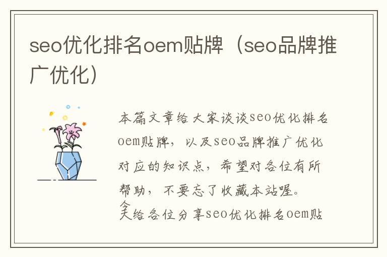 seo优化排名oem贴牌(seo品牌推广优化)