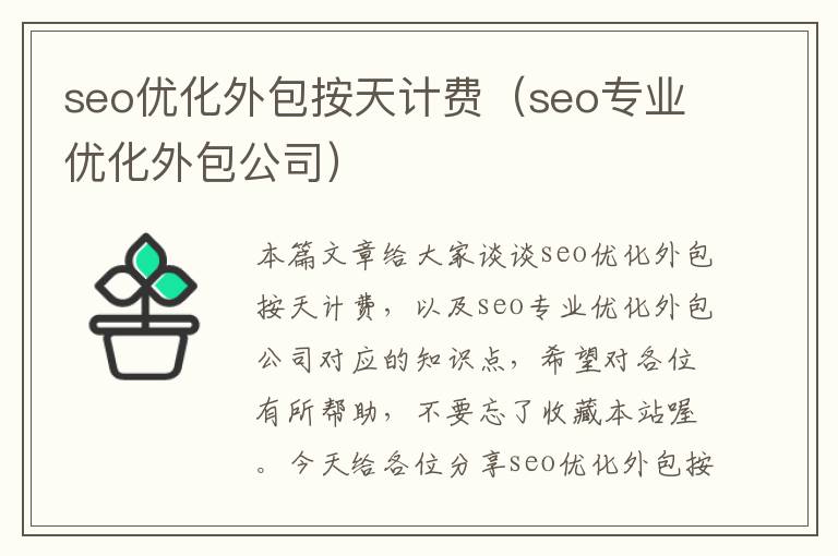 seo优化外包按天计费(seo专业优化外包公司)
