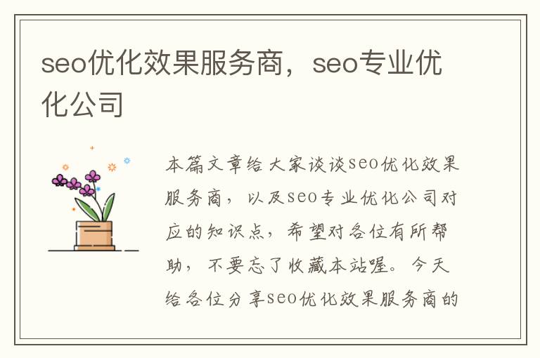 seo优化效果服务商,seo专业优化公司