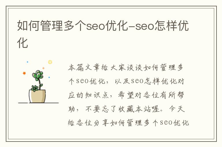 如何管理多个seo优化-seo怎样优化