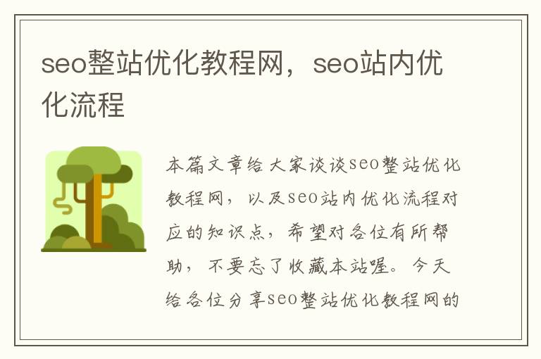 seo整站优化教程网，seo站内优化流程