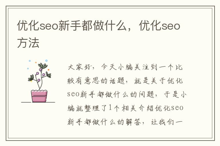 优化seo新手都做什么,优化seo方法