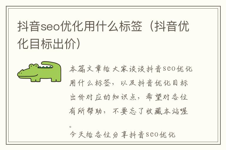 抖音seo优化用什么标签(抖音优化目标出价)