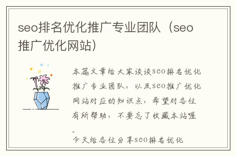 seo排名优化推广专业团队(seo推广优化网站)