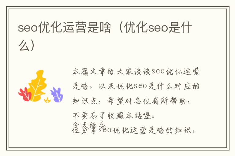 seo优化运营是啥(优化seo是什么)