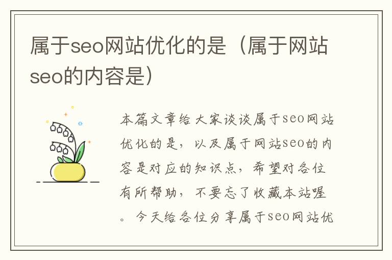 属于seo网站优化的是(属于网站seo的内容是)