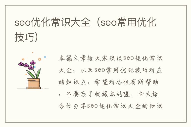 seo优化常识大全(seo常用优化技巧)