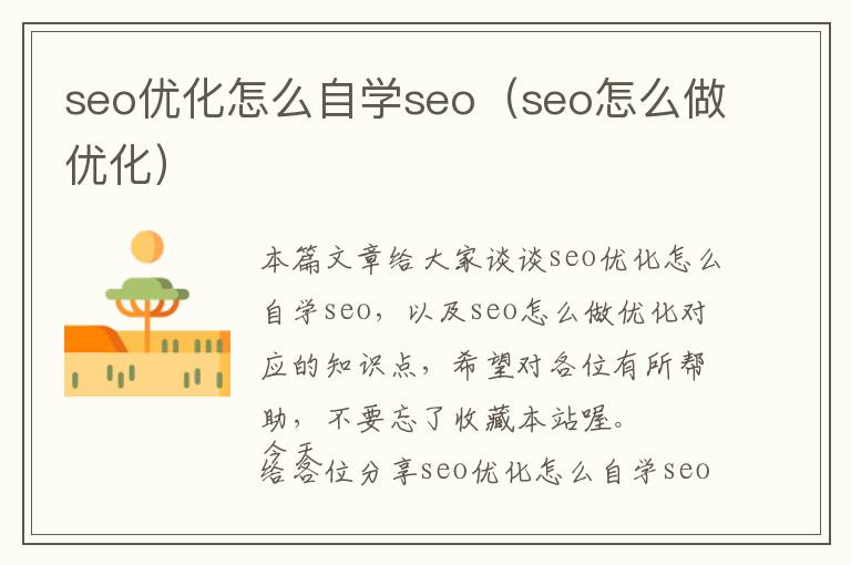 seo优化怎么自学seo(seo怎么做优化)
