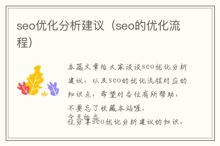 seo优化分析建议(seo的优化流程)