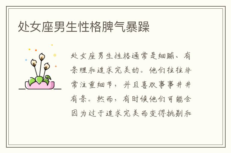 搜索引擎优化seo内容总结(搜索引擎优化seo内容总结怎么写)