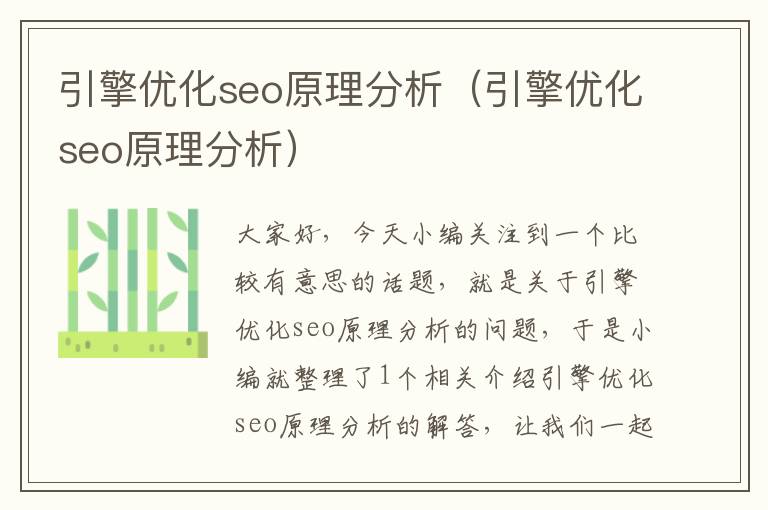 引擎优化seo原理分析(引擎优化seo原理分析)