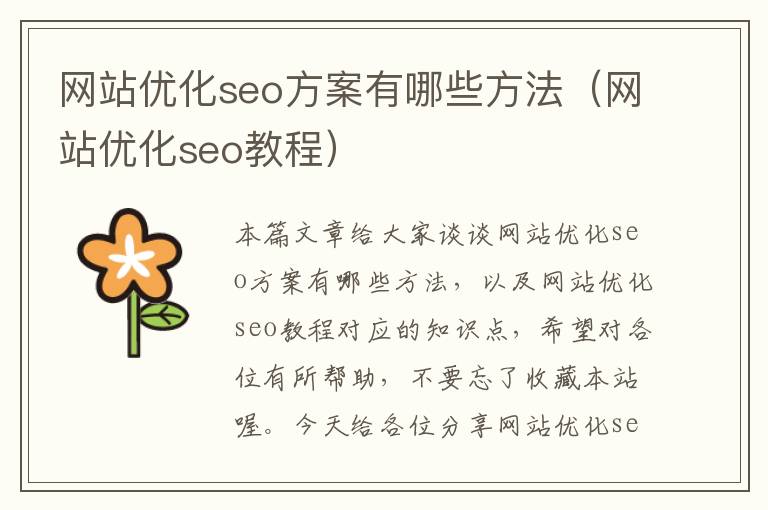 网站优化seo方案有哪些方法(网站优化seo教程)