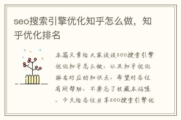 seo搜索引擎优化知乎怎么做,知乎优化排名