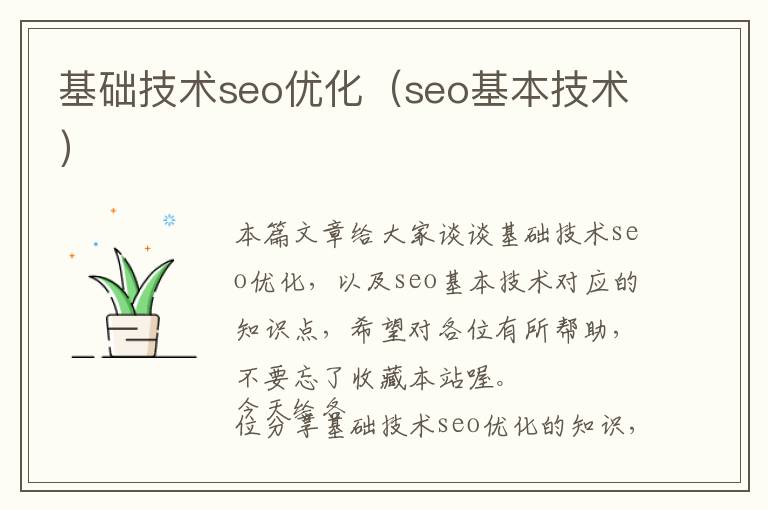 基础技术seo优化(seo基本技术)
