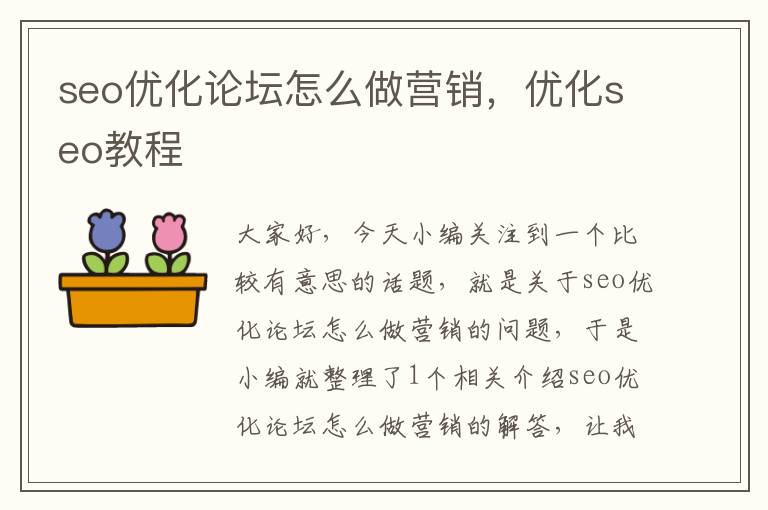 seo优化论坛怎么做营销,优化seo教程