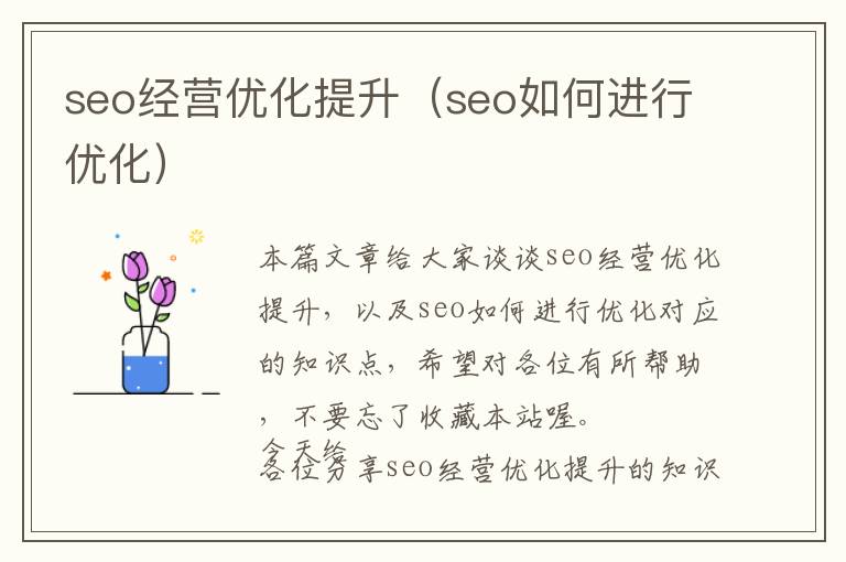 seo经营优化提升(seo如何进行优化)