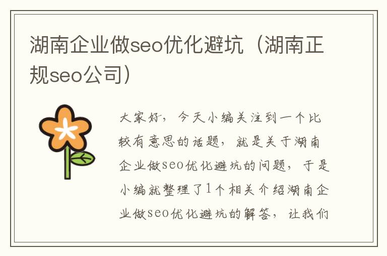 湖南企业做seo优化避坑(湖南正规seo公司)