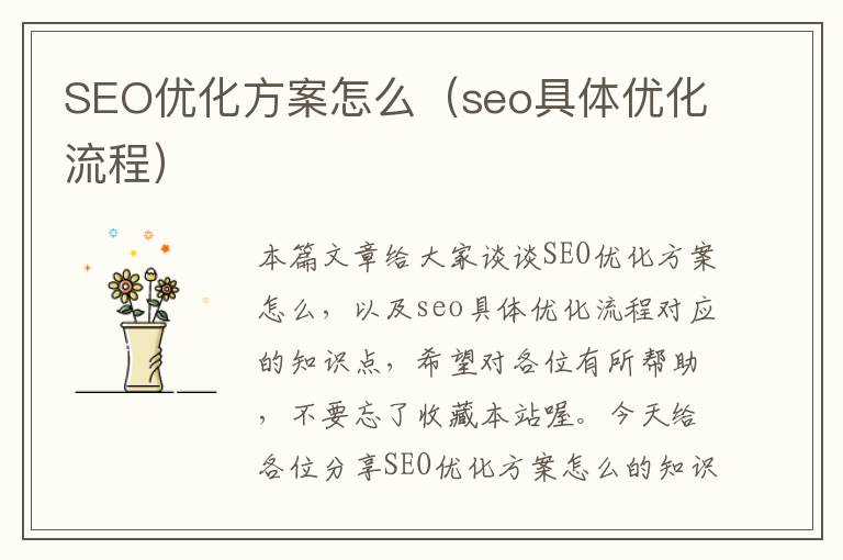 SEO优化方案怎么（seo具体优化流程）