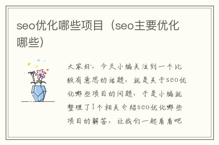 seo优化哪些项目(seo主要优化哪些)