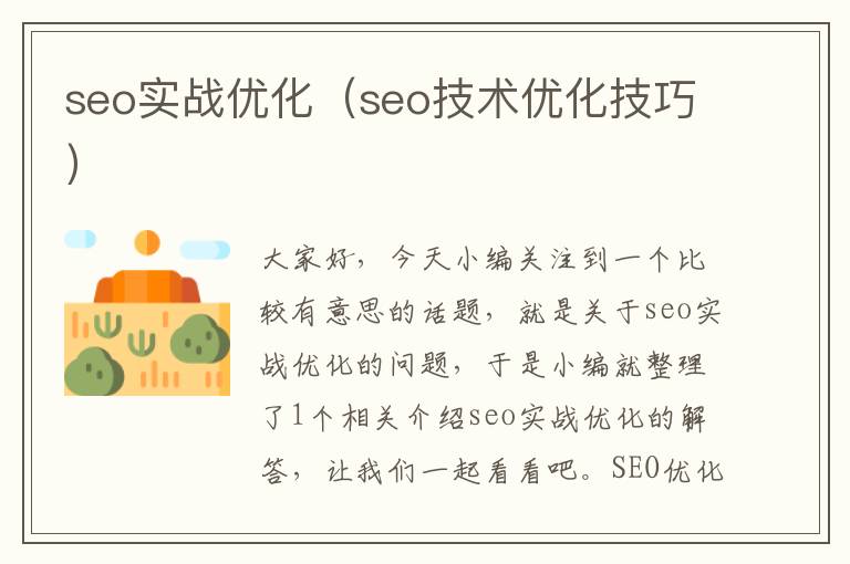 seo实战优化(seo技术优化技巧)