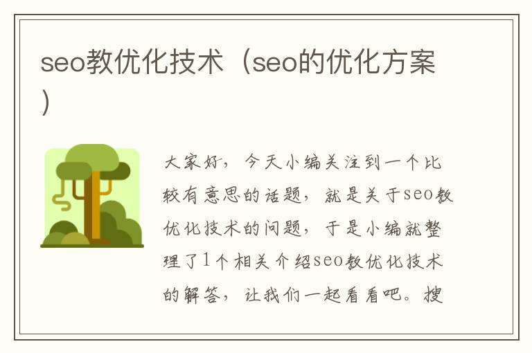 seo教优化技术(seo的优化方案)