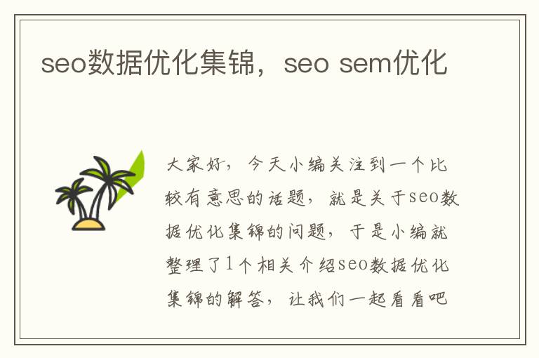 seo数据优化集锦,seo sem优化