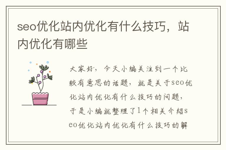 seo优化站内优化有什么技巧,站内优化有哪些