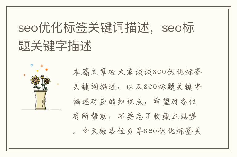 seo优化标签关键词描述,seo标题关键字描述