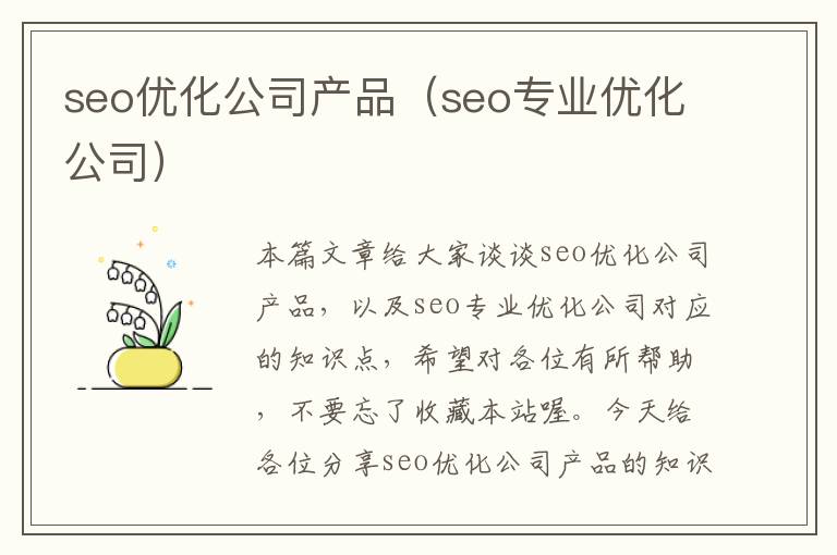 seo优化公司产品(seo专业优化公司)