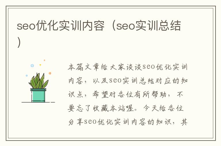 seo优化实训内容(seo实训总结)