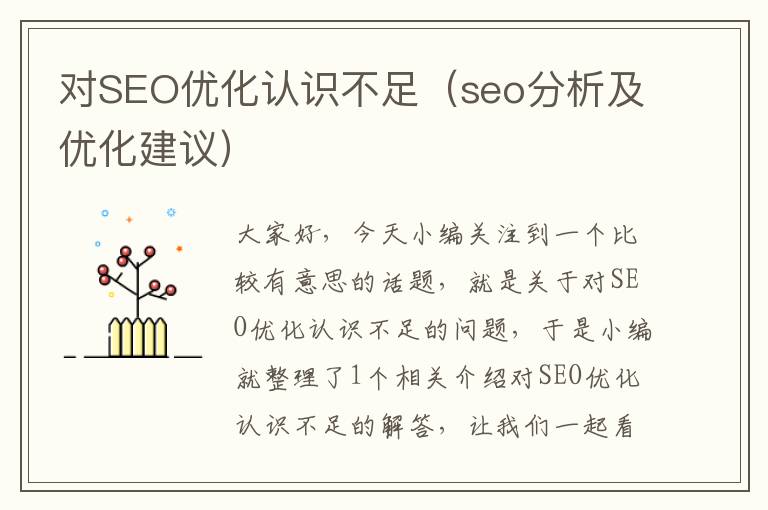 对SEO优化认识不足(seo分析及优化建议)