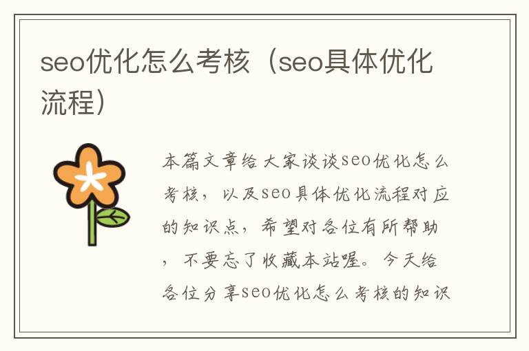 seo优化怎么考核(seo具体优化流程)