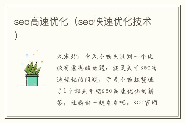 seo高速优化(seo快速优化技术)