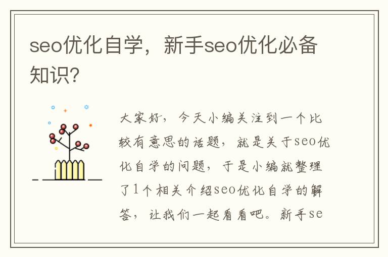 seo优化自学,新手seo优化必备知识?