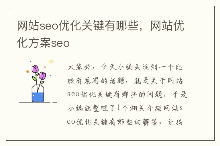 网站seo优化关键有哪些,网站优化方案seo
