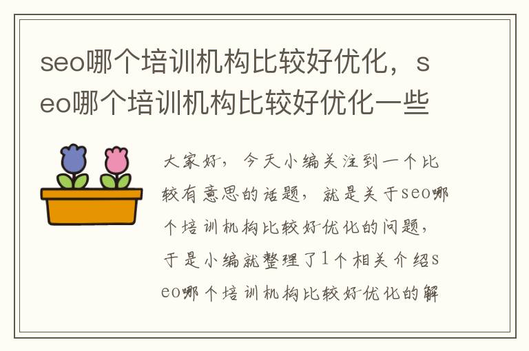 seo哪个培训机构比较好优化,seo哪个培训机构比较好优化一些