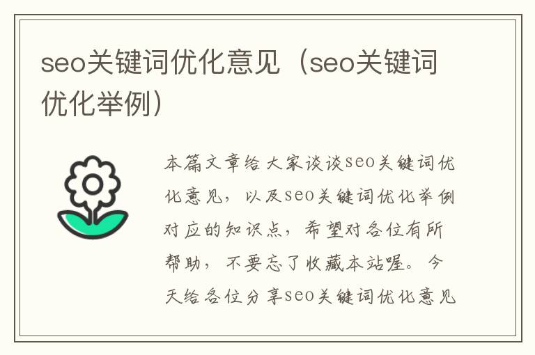 seo关键词优化意见(seo关键词优化举例)