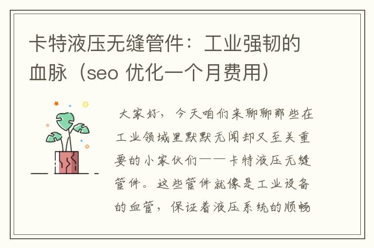 卡特液压无缝管件:工业强韧的血脉(seo 优化一个月费用)
