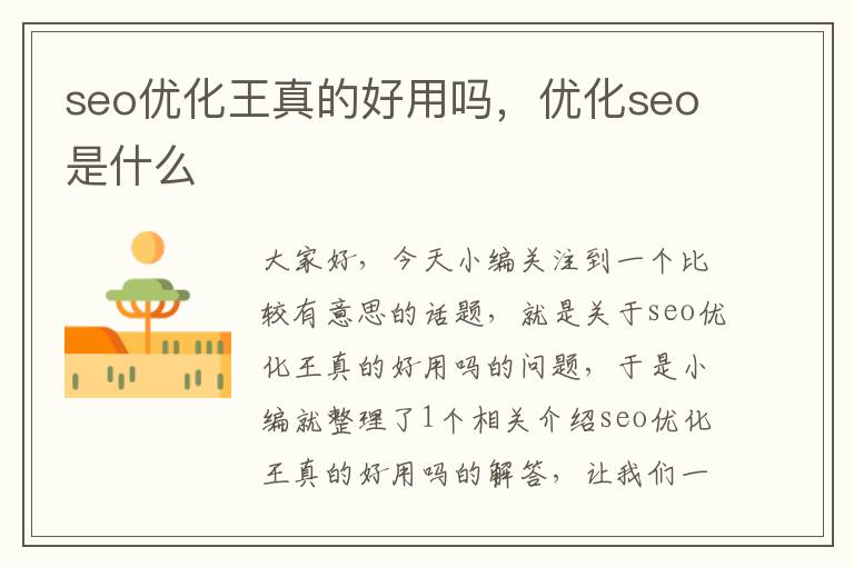 seo优化王真的好用吗,优化seo是什么