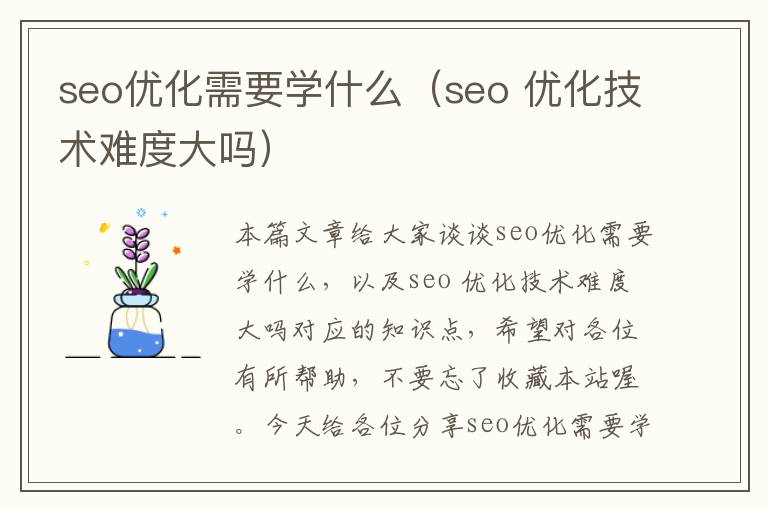 seo优化需要学什么(seo 优化技术难度大吗)