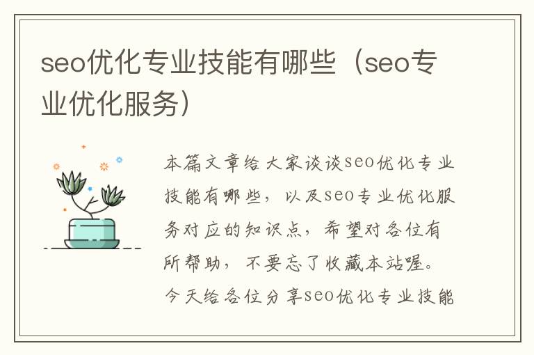 seo优化专业技能有哪些(seo专业优化服务)