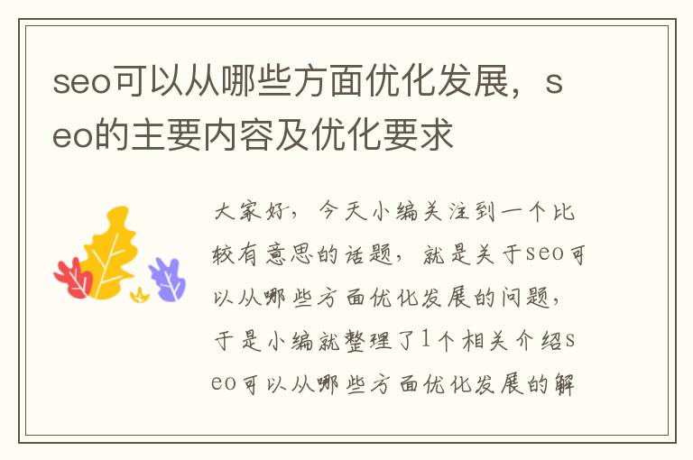 seo可以从哪些方面优化发展,seo的主要内容及优化要求