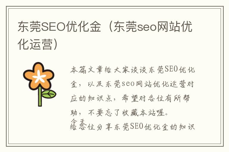 东莞SEO优化金(东莞seo网站优化运营)