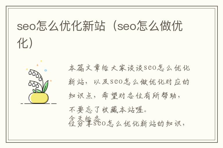 seo怎么优化新站(seo怎么做优化)