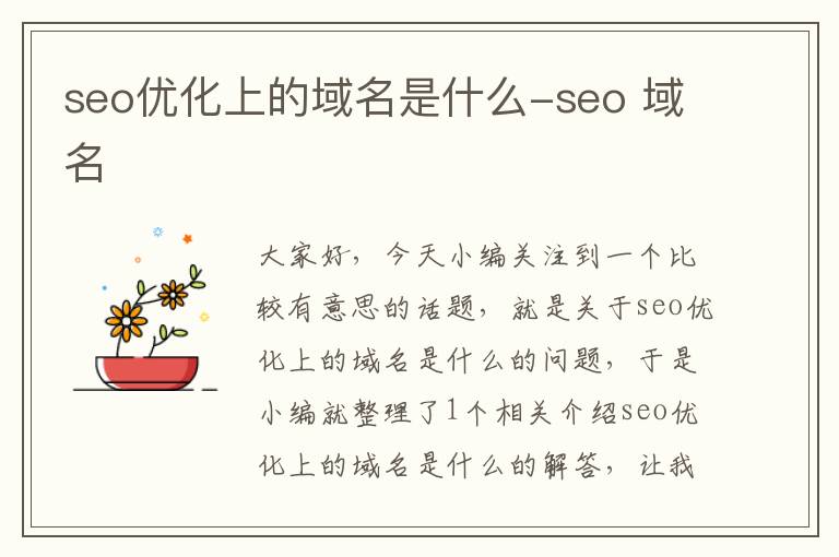 seo优化上的域名是什么-seo 域名