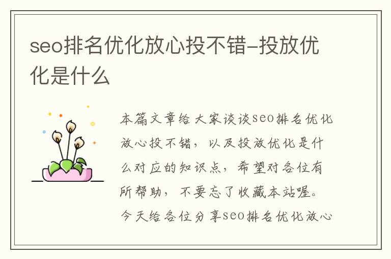 seo排名优化放心投不错-投放优化是什么
