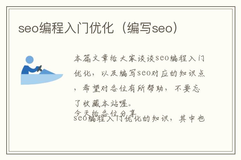 seo编程入门优化(编写seo)
