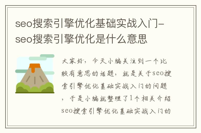 seo搜索引擎优化基础实战入门-seo搜索引擎优化是什么意思
