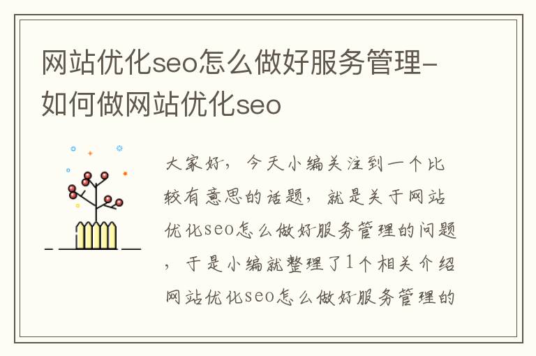 网站优化seo怎么做好服务管理-如何做网站优化seo
